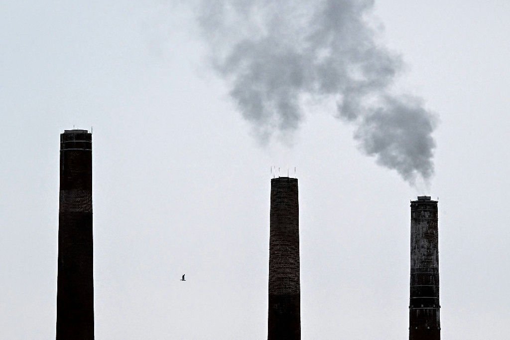 Brasil se destaca como potencial fornecedor de créditos de carbono para a China