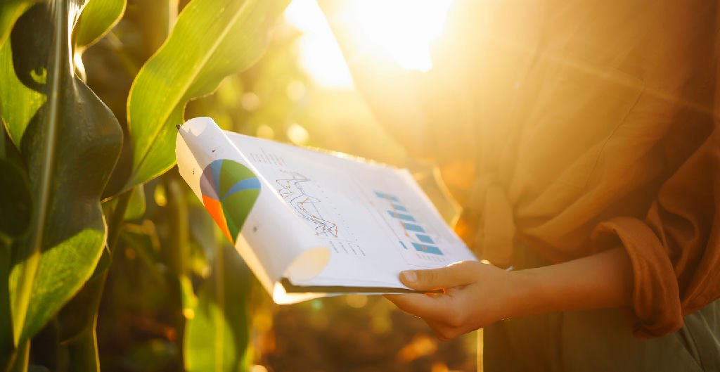 Carf decide sobre segregação de receitas na agroindústria