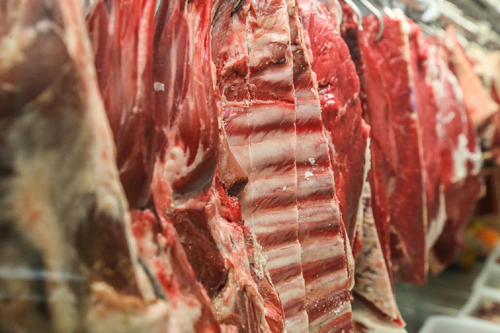 Carne bovina brasileira pode ficar fora do mercado europeu por até dois anos