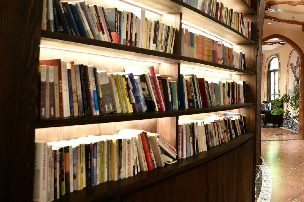 Disputa entre autores e editoras sobre pagamento de US$ 1,5 bilhão da Anthropic