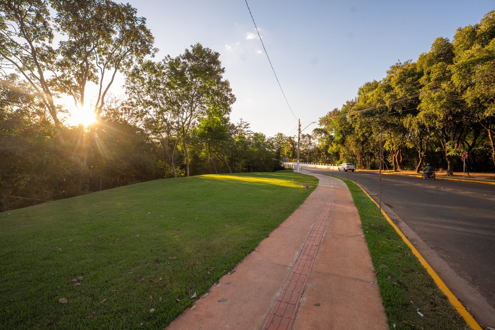 Iniciativas de arborização em Rondonópolis buscam melhorar a qualidade de vida da população