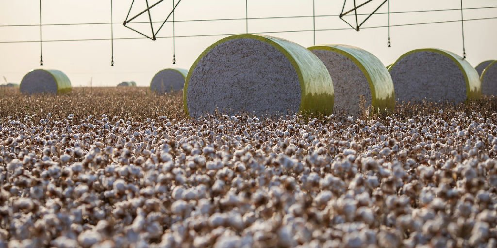 Mudança no mapa tira Sorriso do topo da produção agrícola no Brasil