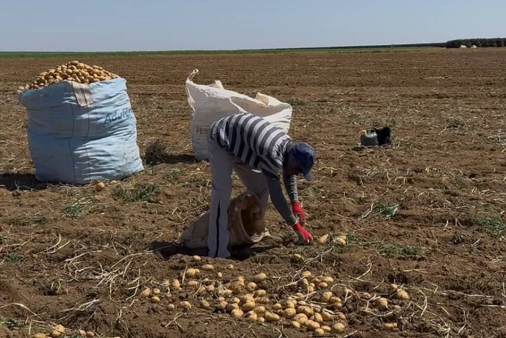 Operação resgata 479 trabalhadores em condições análogas à escravidão no Brasil