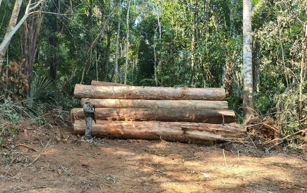 Polícia Militar apreende 110 toras de madeira em área de desmatamento irregular em Colniza