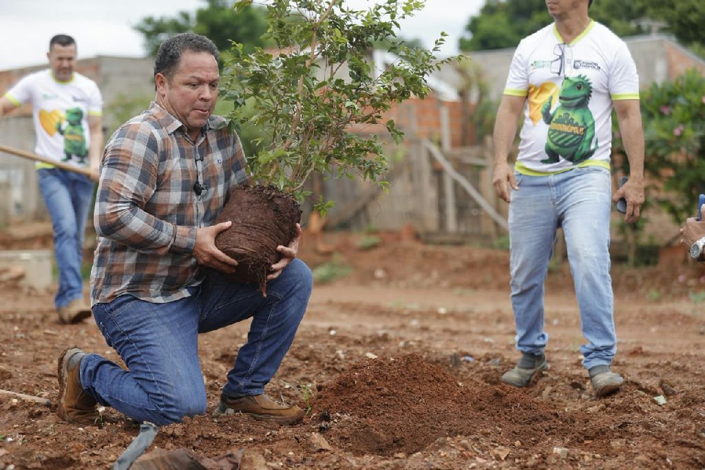 Rondonópolis é reconhecida internacionalmente por seu trabalho em arborização urbana