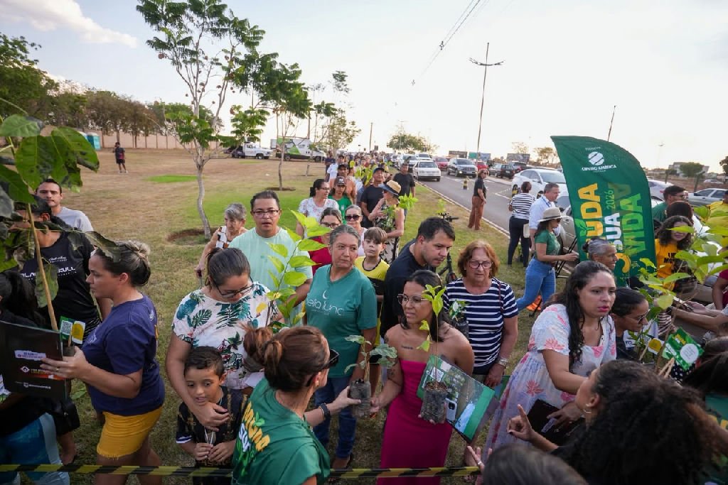 Rondonópolis recebe doação de seis mil mudas de árvores em ação ambiental