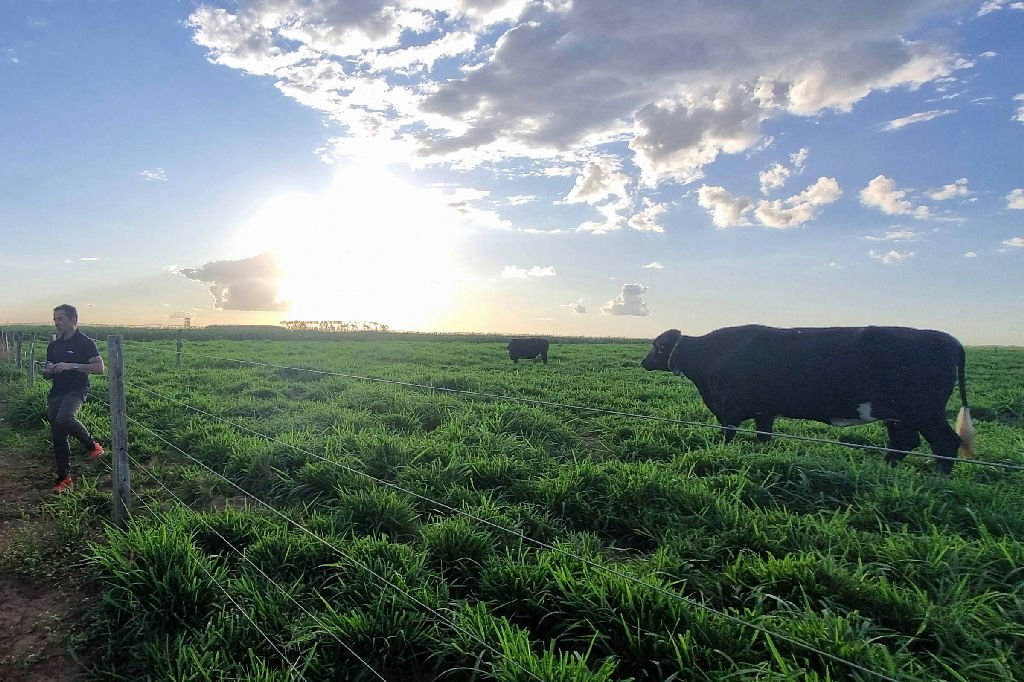 Aumento da escolaridade e da renda média no agronegócio