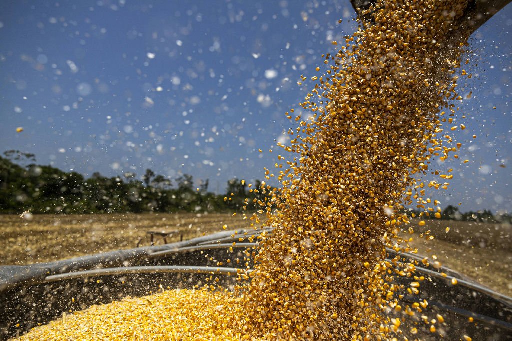 Brasil deve registrar safra recorde de soja e milho em 2026, aponta Conab
