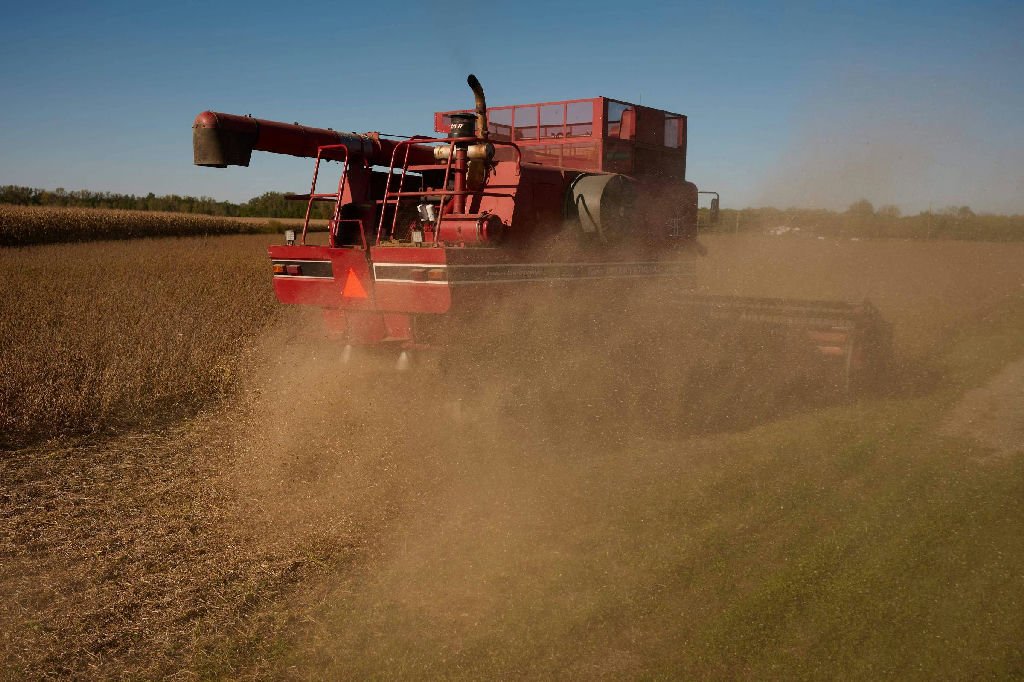 Bunge supera expectativas de lucro trimestral com margens robustas de esmagamento