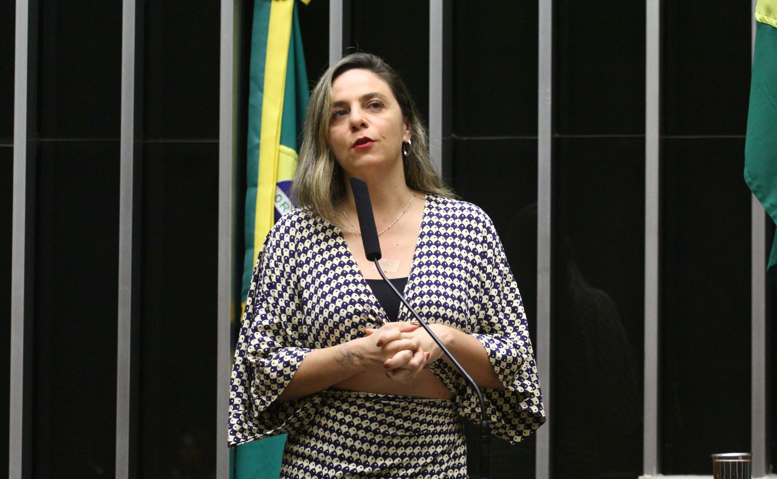 Câmara analisa projeto que proíbe uso de papel com celulose branqueada pelo governo