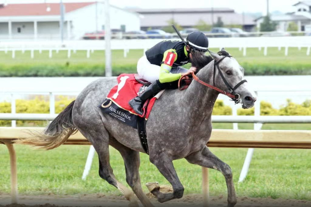 Cavalo de corrida é rebatizado após polêmica sobre nome