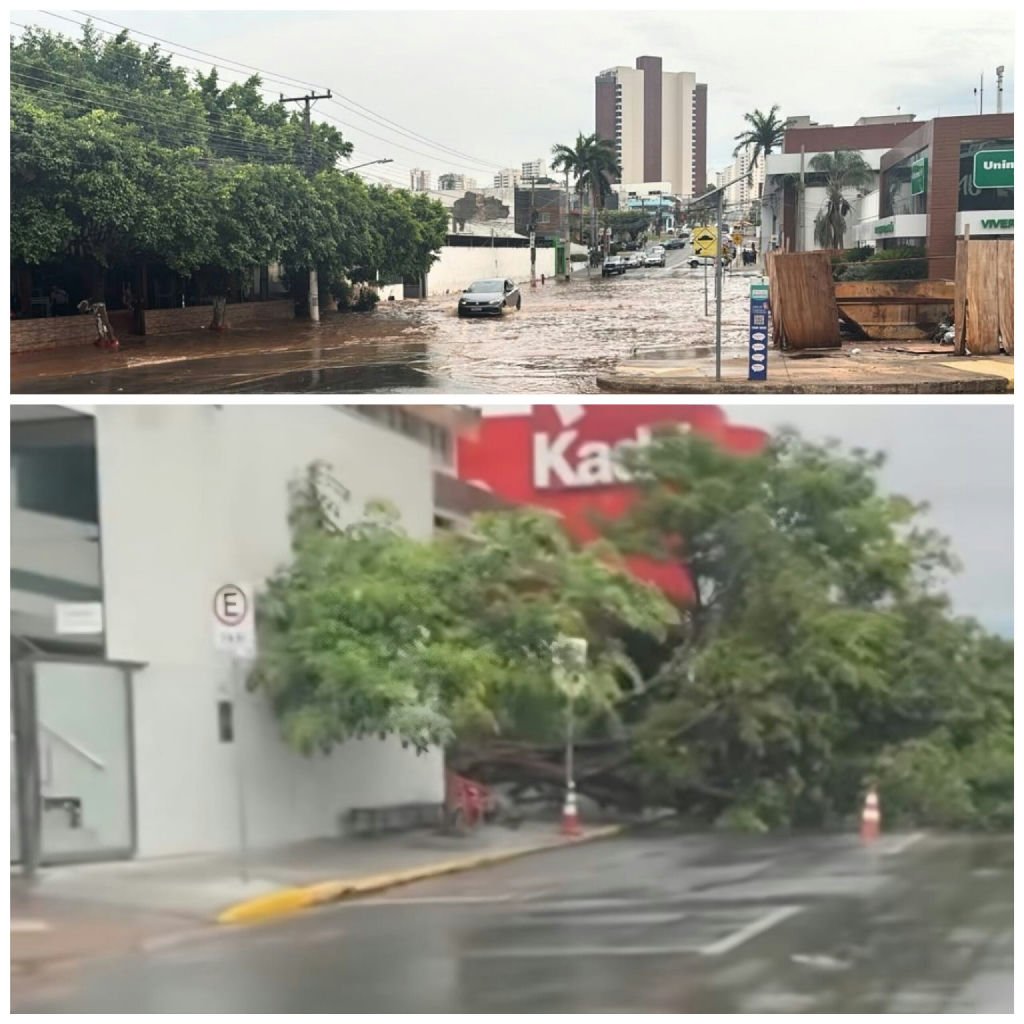 Chuvas intensas e ventos fortes causam estragos em Mato Grosso