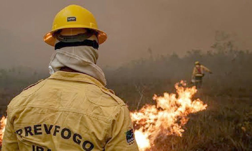 Fumaça compromete combate a incêndios florestais no Amazonas