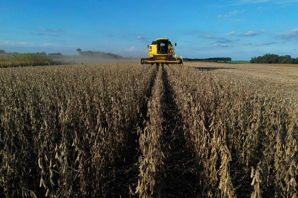 Governo pretende alterar regras da renegociação de dívidas do agro para facilitar acesso ao crédito