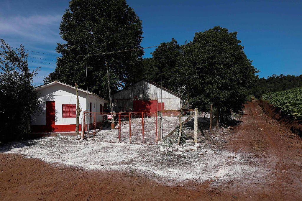 Ministério da Agricultura confirma terceiro foco da doença de Newcastle em Santa Catarina