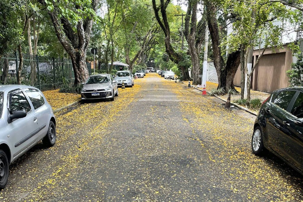 Outubro é o mês perfeito para correr entre flores e natureza
