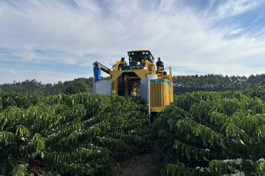 Pedidos de recuperação judicial no agronegócio caem 20,7% no segundo trimestre, aponta Serasa