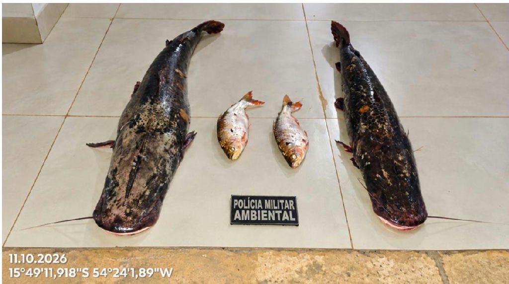 Polícia apreende 27 quilos de pescado em fiscalização no Rio Vermelho, em Poxoréu