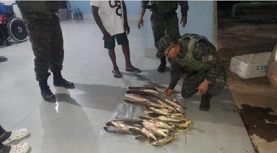 Polícia Militar apreende 23 quilos de peixes em Poxoréu com destino a Primavera do Leste