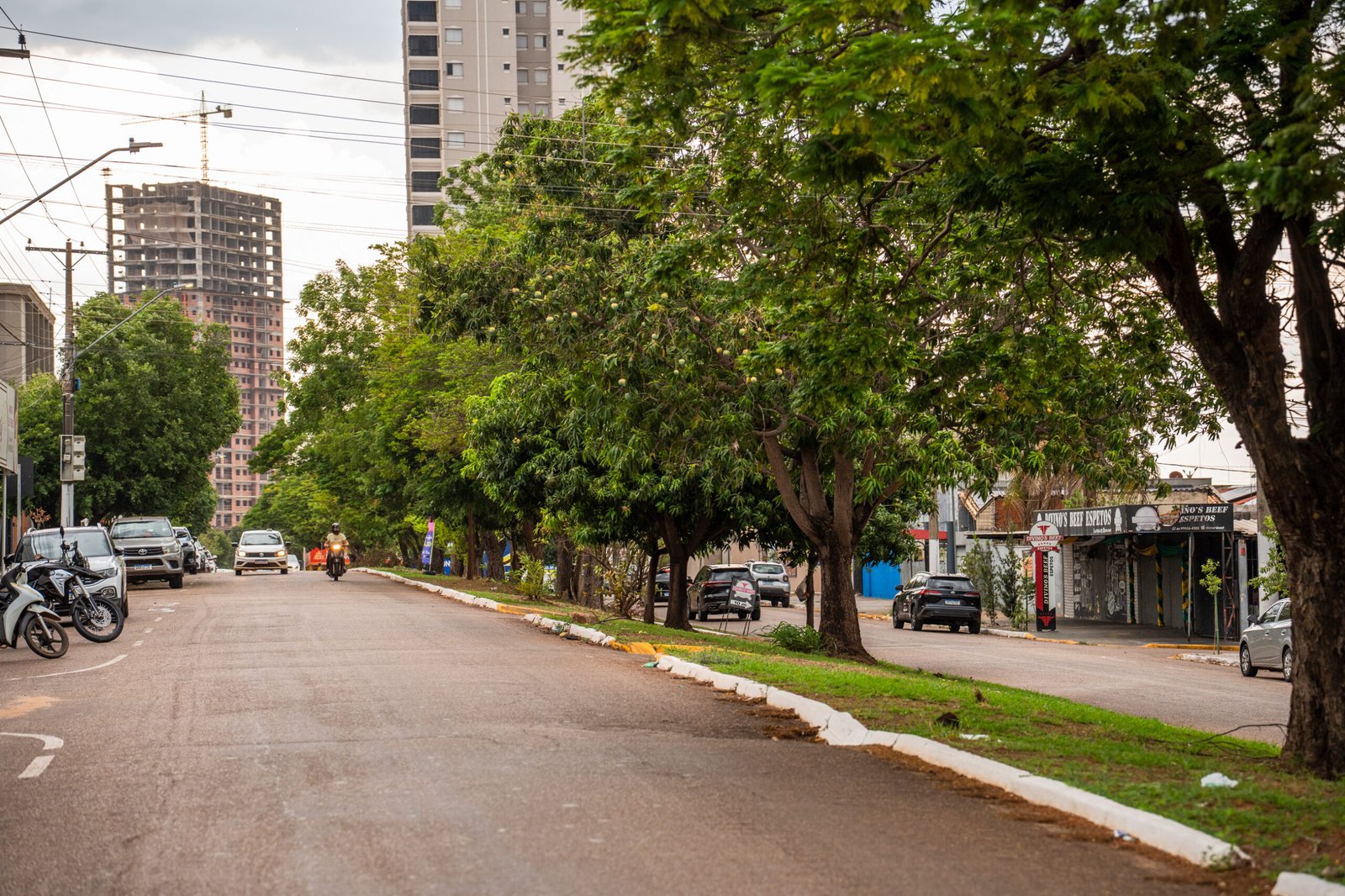Rondonópolis pode reduzir temperaturas em até 8°C com arborização urbana